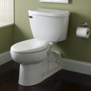 western-style toilets